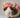 cute guinea pig with flowers on their head