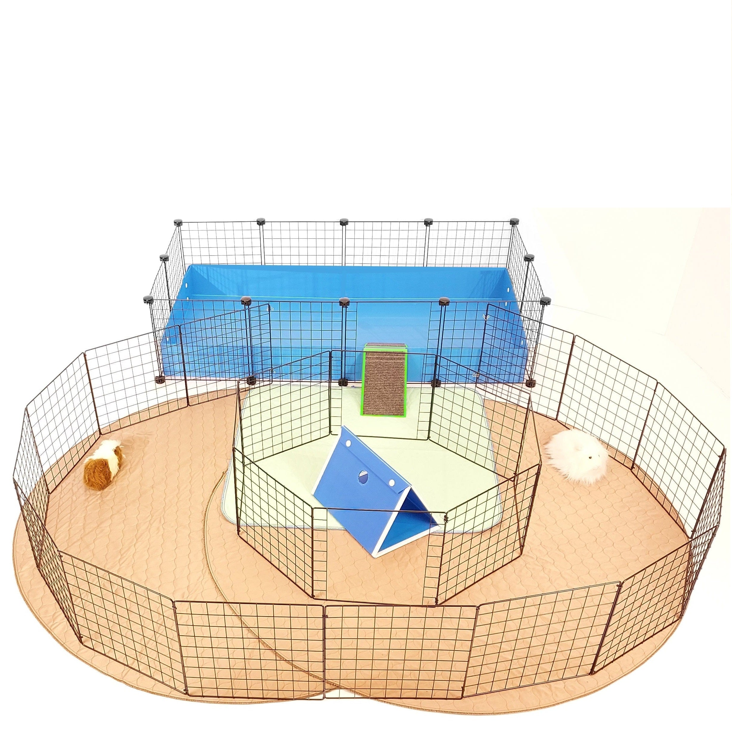 Custom floor time setup for c&c guinea pig cages
