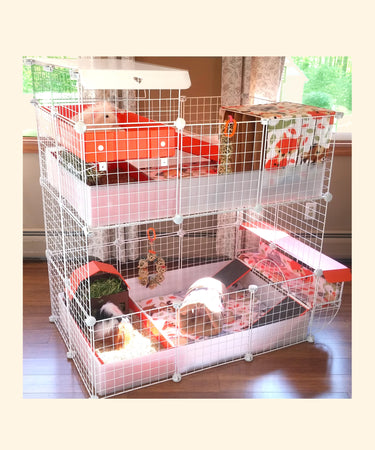 color c&c guinea pig cages stacked on top of each other