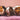Three cute guinea pigs together on a pink blanket