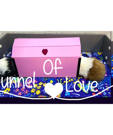 promotional slider showing guinea pigs in a tunnel hidey