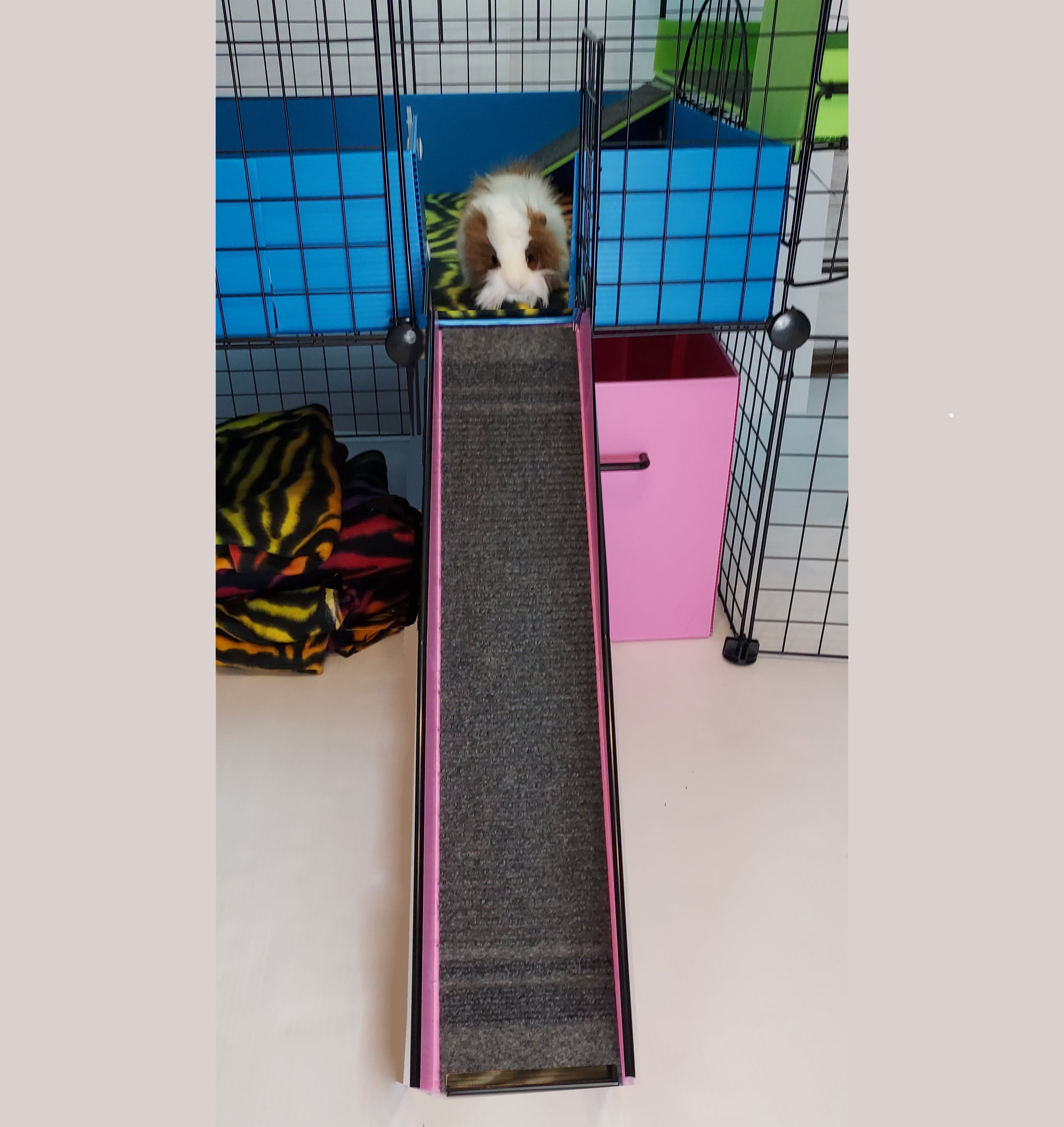 Escape Hatch Retro-Kit Guinea Pig Cage Floor Time – Guinea Pig