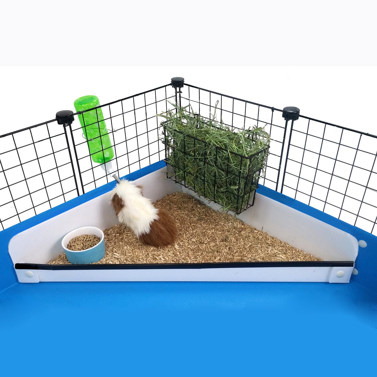 Corner Kitchen C&C and Midwest Cages Guinea Pig Habitat