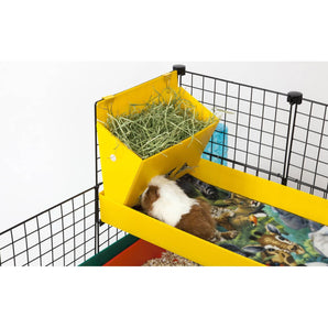 Guinea pig eating from a  Yellow Hay buffet  in a C&C guinea pig cage