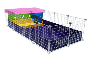 purple c&c guinea pig cage with a colorful kitchen suite