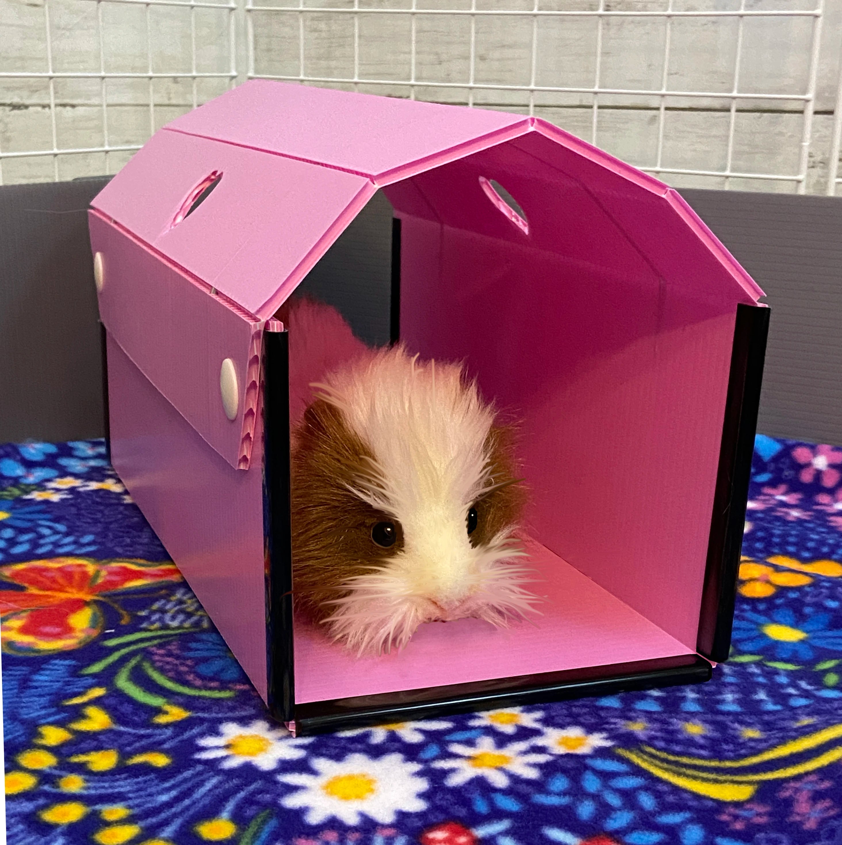 Portable guinea pig cage clearance