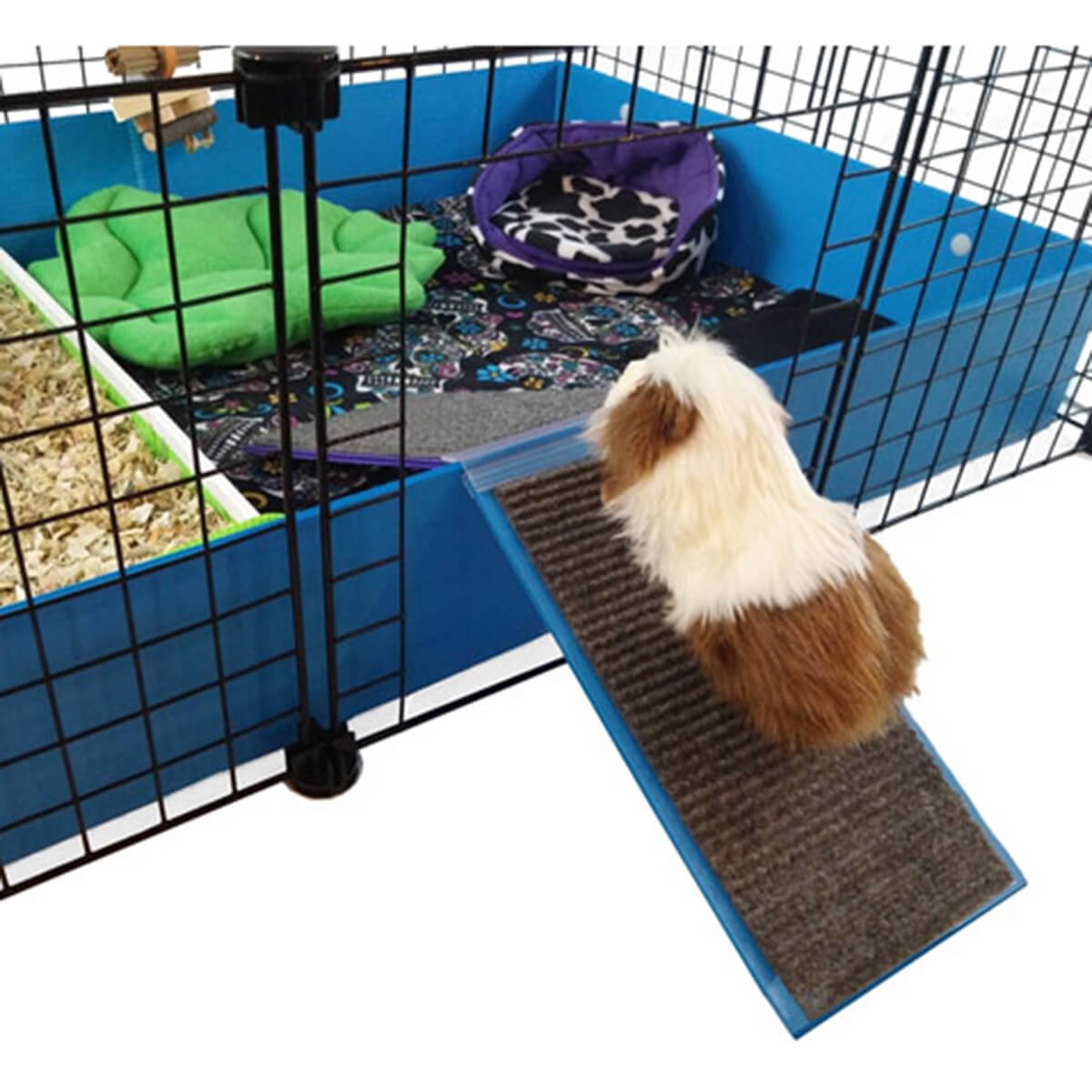 Ramps C&C Guinea Pig Cages & Lofts Guinea Pig Habitats Guinea Pig