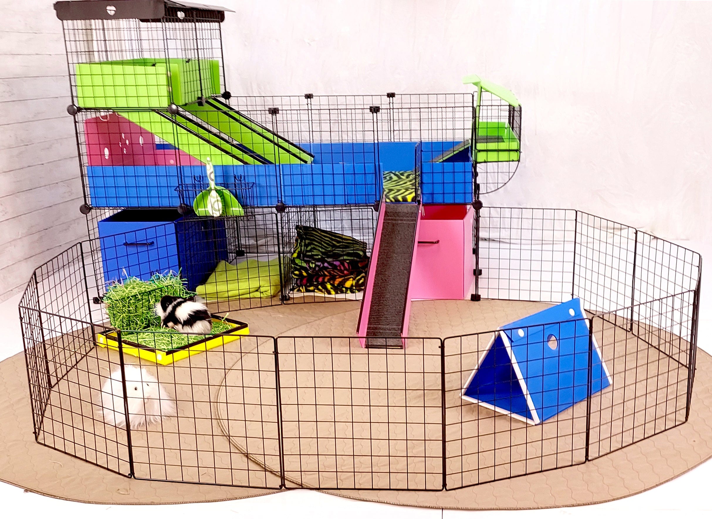 Colorful Custom C&C guinea pig cage with a floor time setup and accessories 