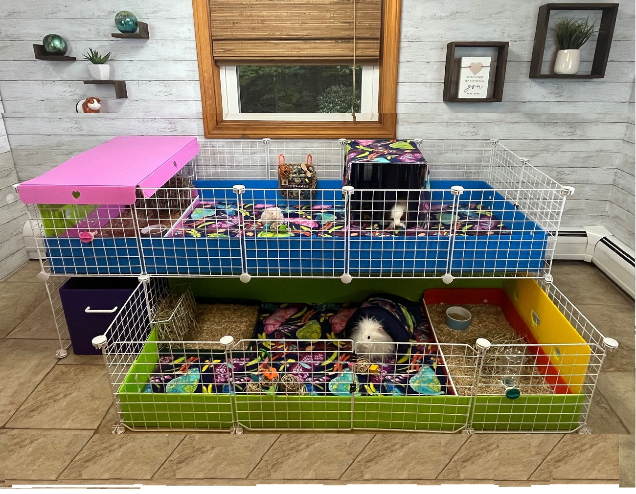 C And C Cage For Guinea Pigs