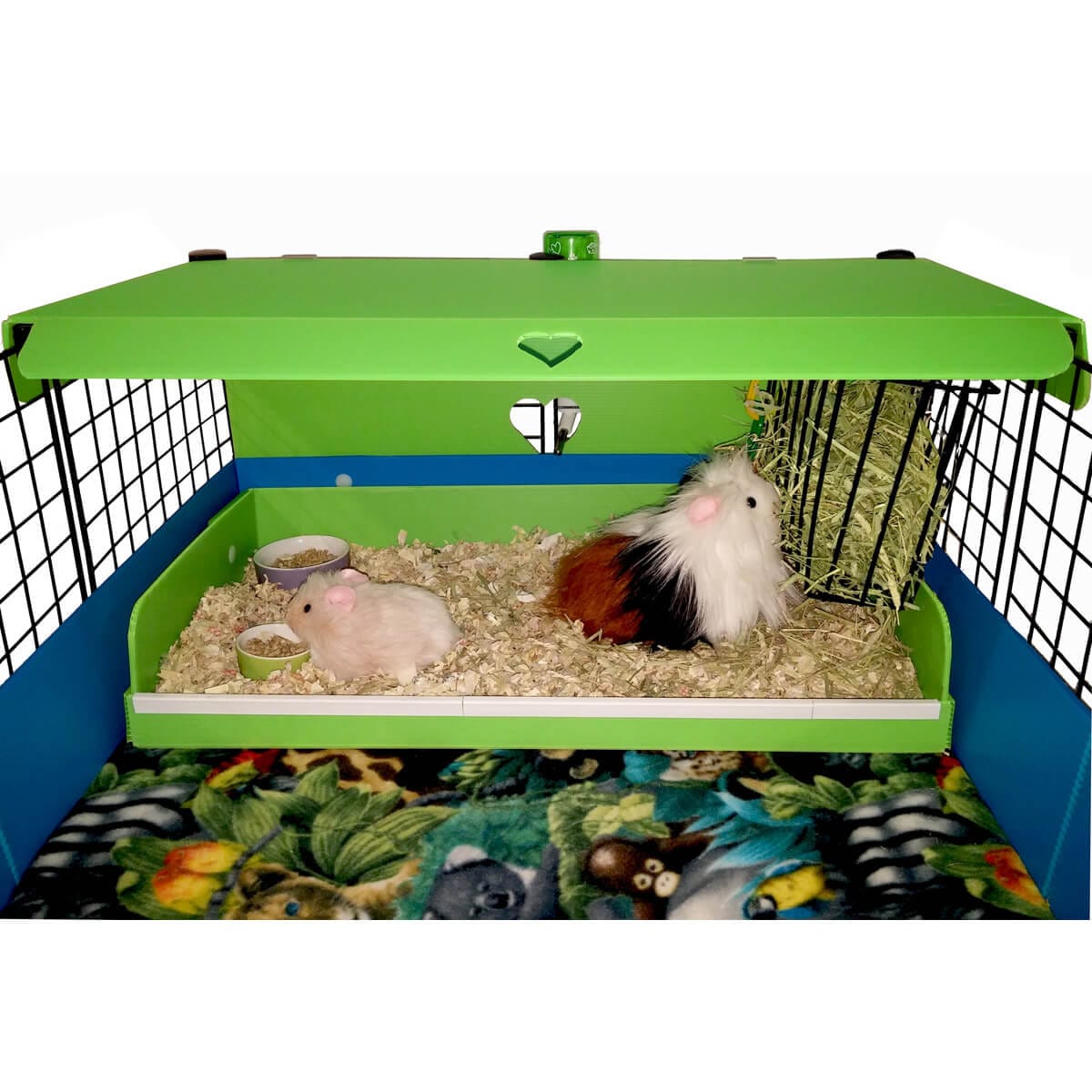 Cage Starter Kit C&C Guinea Pig Cages and Accessories – Guinea