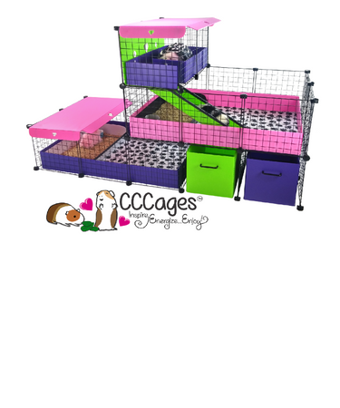 Clever Guinea Pig Cages & Ideas