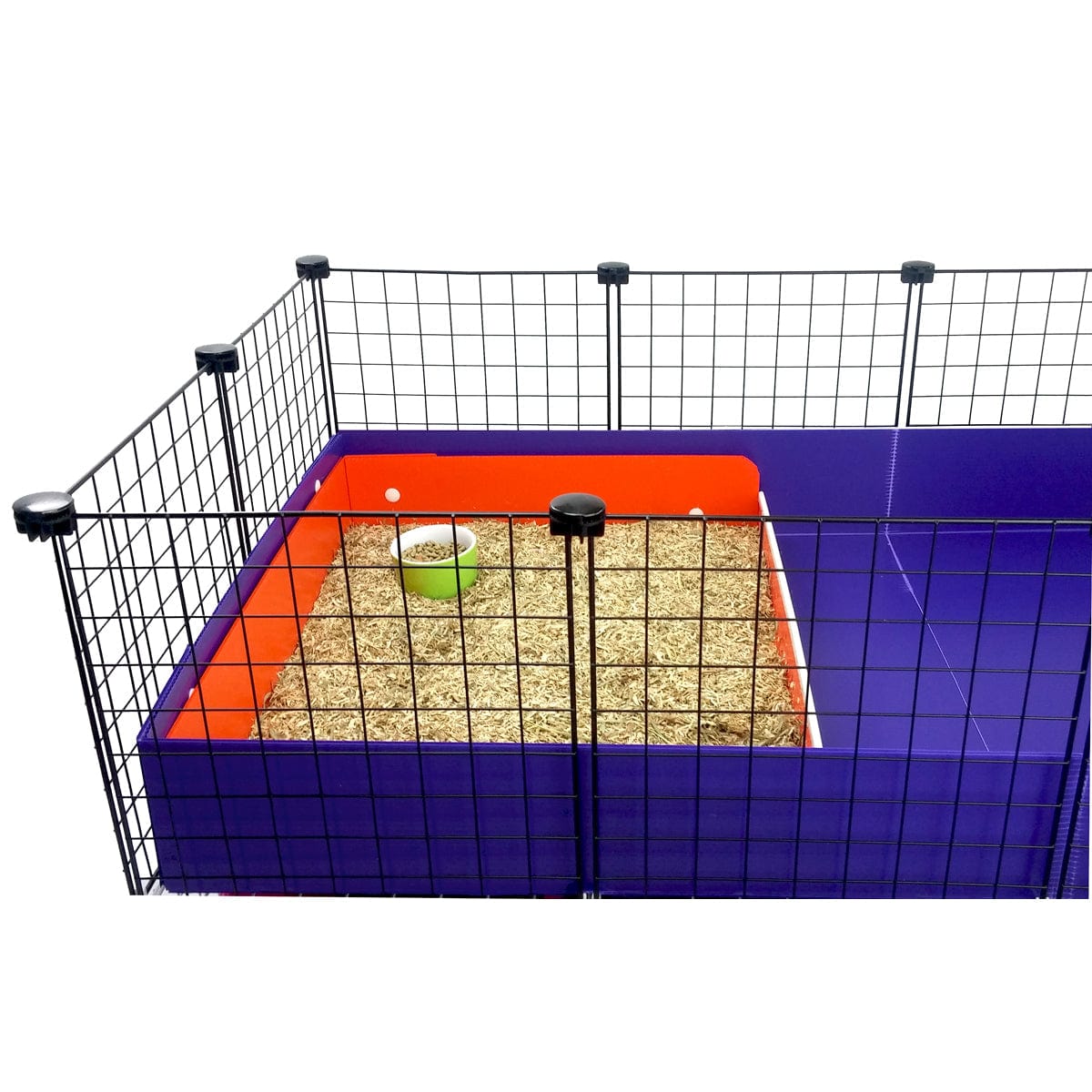 Orange coroplast bistro in a purple C&C guinea pig cage