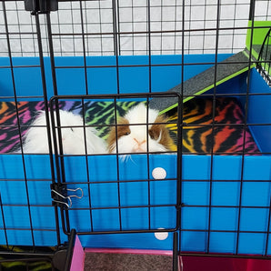 Escape hatch for a C&C guinea pig cage 