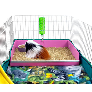 Guinea pig in a pink coroplast diner in a midwest cage