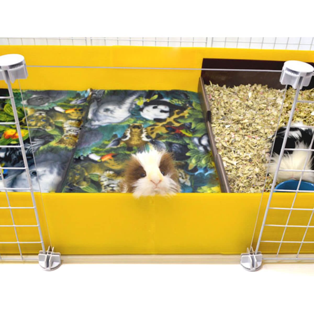 Full size window replacing a grid for a yellow C&C guinea pig cage