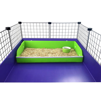 Lime coroplast café in a purple C&C guinea pig cage