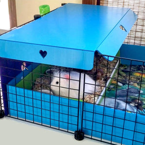 Guinea pig in a colorful Kitchen suite in a light blue C&C guinea pig cage