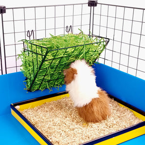 Foraging hayrack for a C&C guinea pig cage