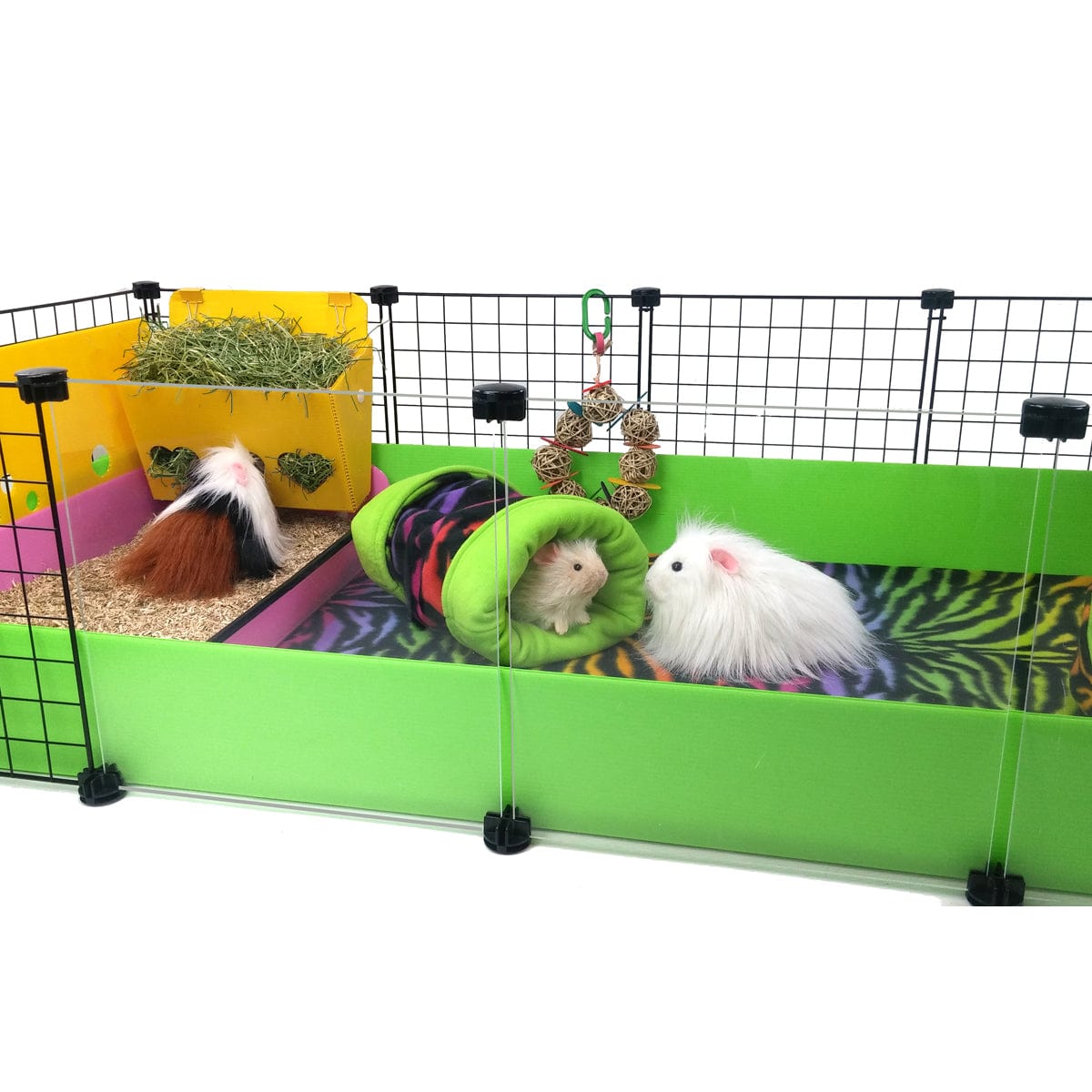 Two full size windows replacing grids in a green C&C guinea pig cage