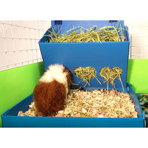 Light blue Hay buffet and corral full of hay in a C&C guinea pig cage