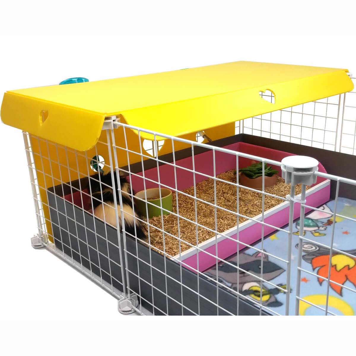 Guinea pig in a colorful Kitchen suite in a Silver C&C guinea pig cage