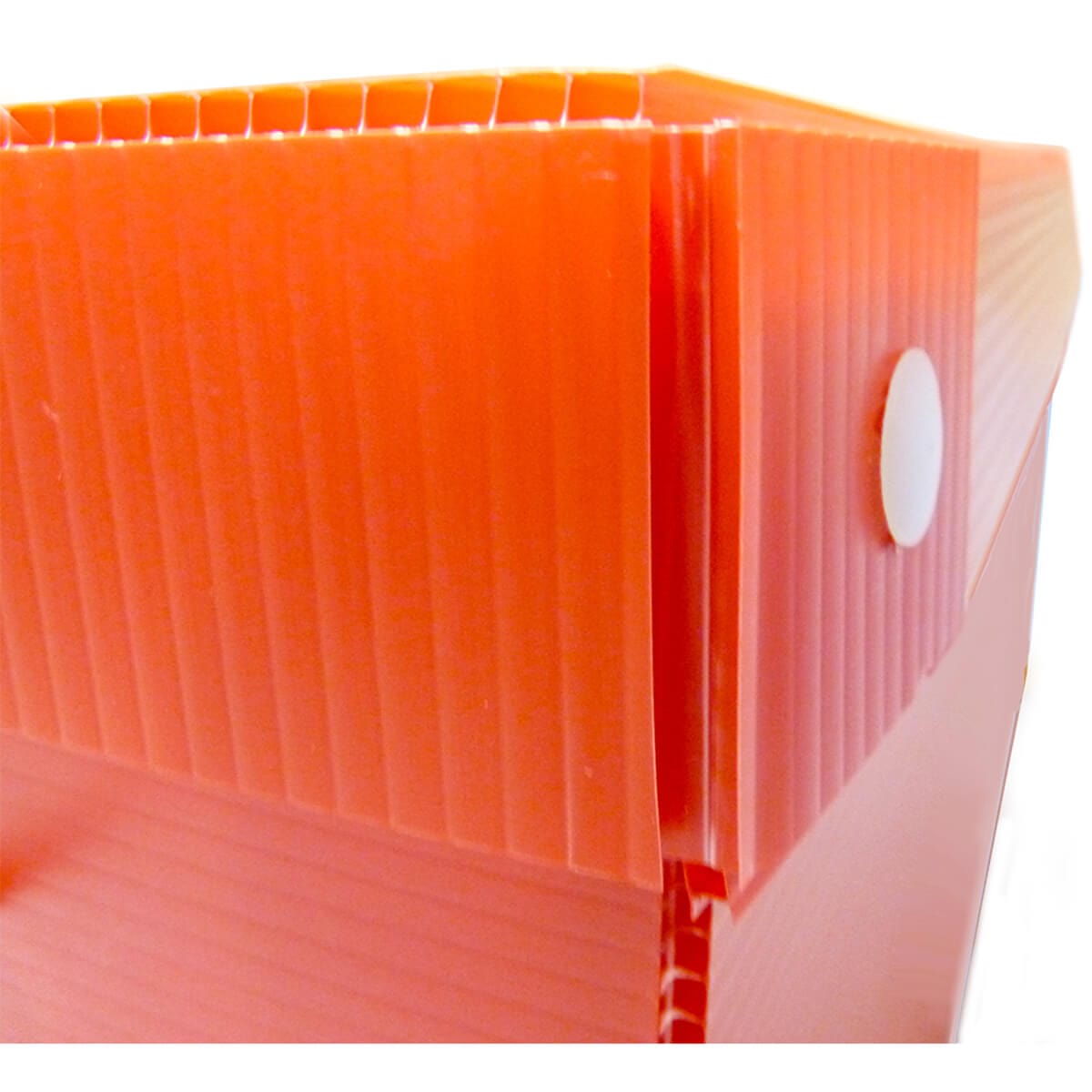 close up of an orange storage bin and cover for use with a stand and C&C guinea pig cage