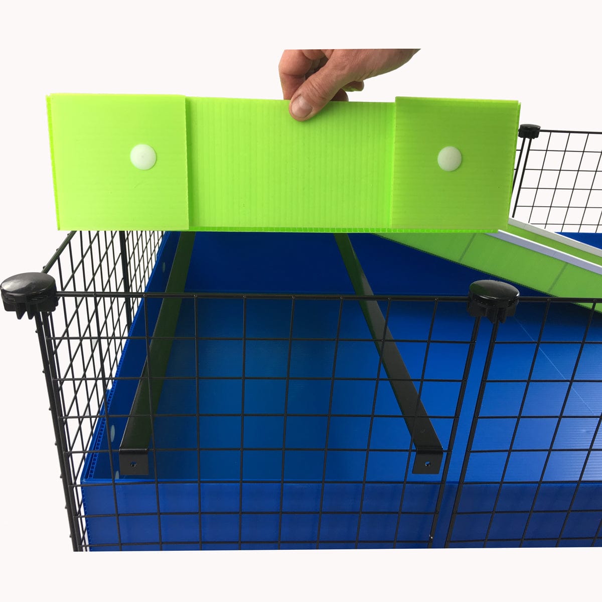 Lime piggy patio with ramp and support bars for C&C guinea pig cages