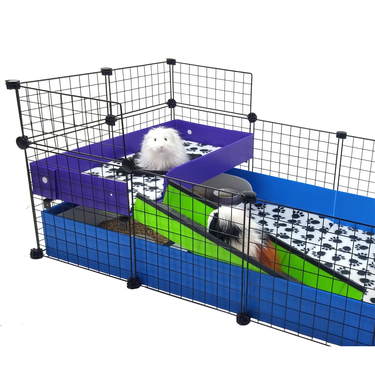 purple coroplast piggy patio in a c&c guinea pig cage