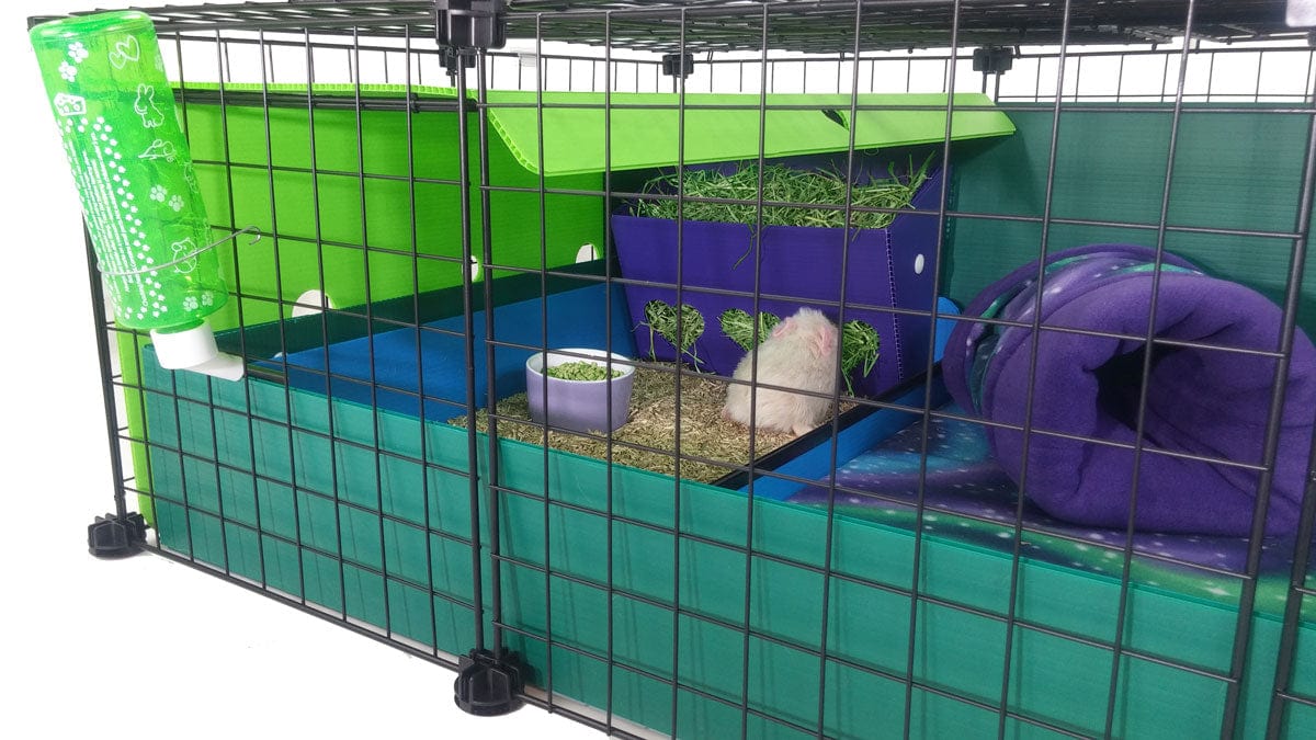 Lime undercover canopy in a green C&C guinea pig cage