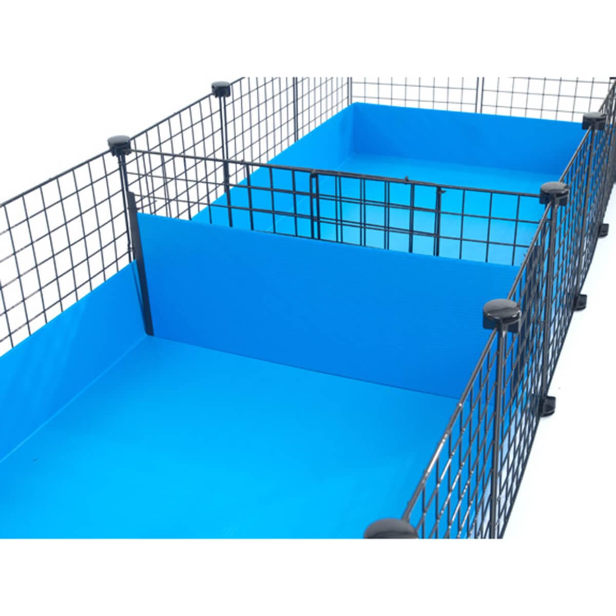 C C Cage Divider For Guinea Pig Cage Guinea Pig Cage Company c-c-cage-divider-for-guinea-pig-cage-guinea-pig-cage-company