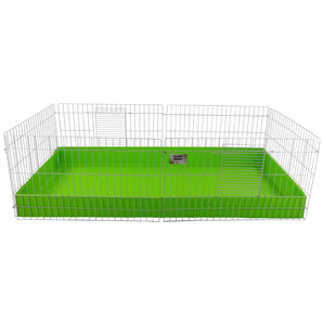 Lime coroplast base for a midwest guinea pig cage